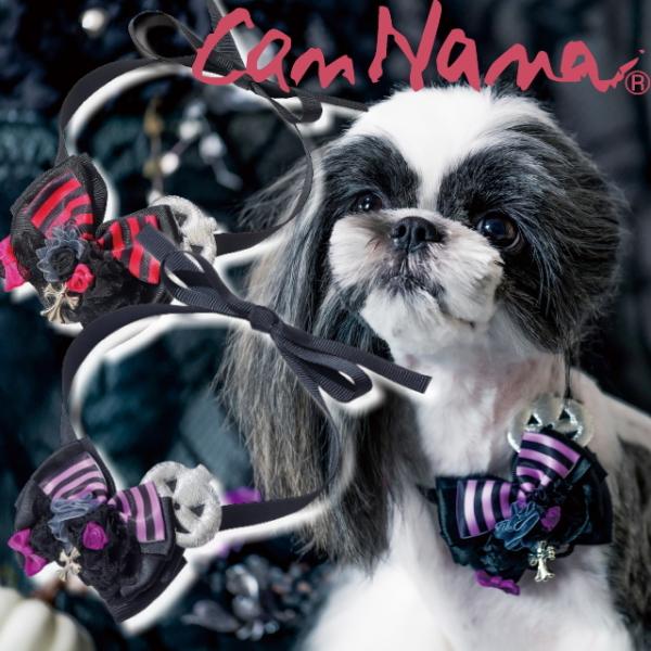 y iizSXnEBlbN`[J[  ^/^piԃ^Cvj