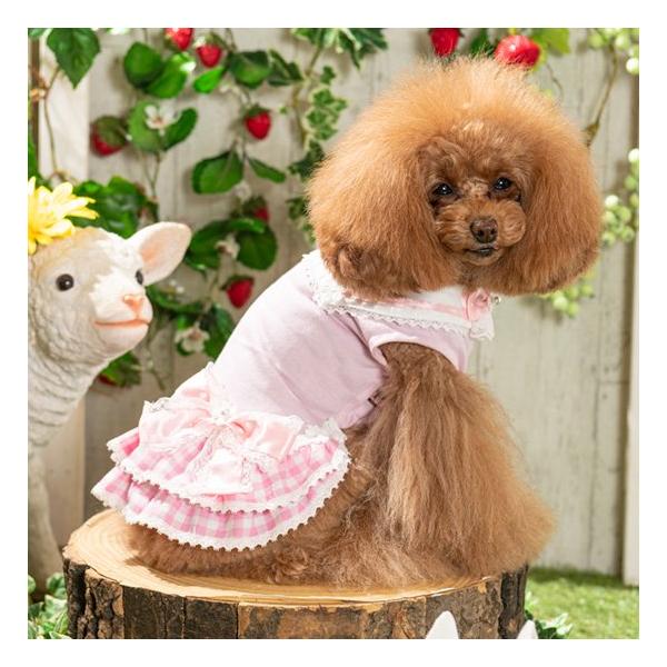 ルルドール【LULUDOLL】ゆめかわ清楚ガール パピーSサイズ 春夏 犬服