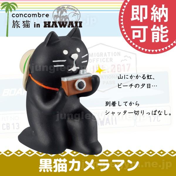 デコレ コンコンブル DECOLE CONCOMBRE 旅猫 黒猫カメラマン ( 新作 