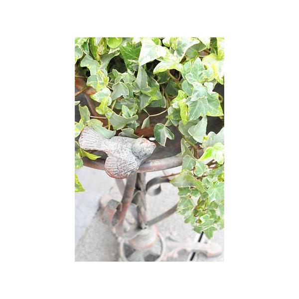 t[X^h  ԑ K[fjO CeA g AeB[N o[h t[X^h