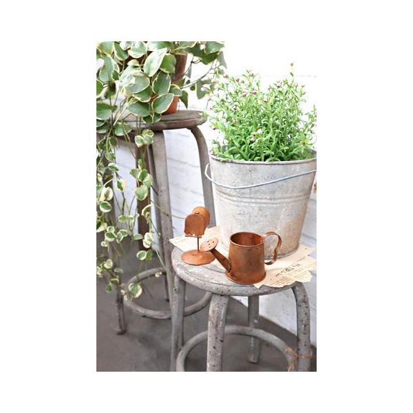 t[X^h  ԑ K[fjO CeA g AeB[N SABBY t[X^h S