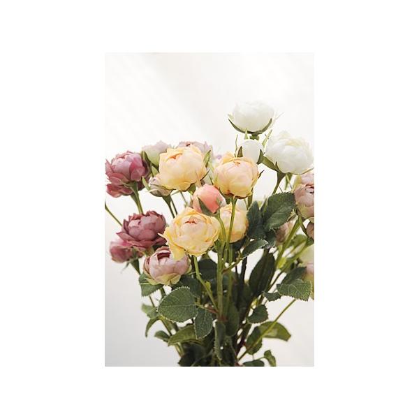 tFCNO[ A   fBXvC  g AeB[N ~j[Y