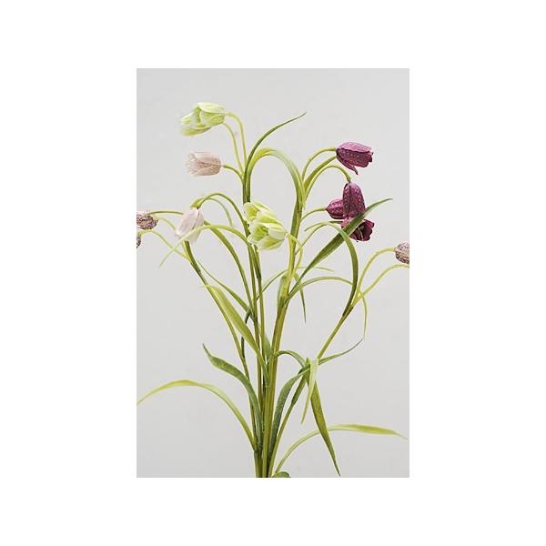 tFCNO[ A   fBXvC  g AeB[N t`A1