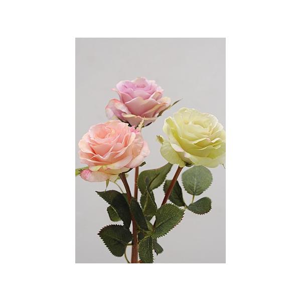 tFCNO[ A   fBXvC  g AeB[N [YL