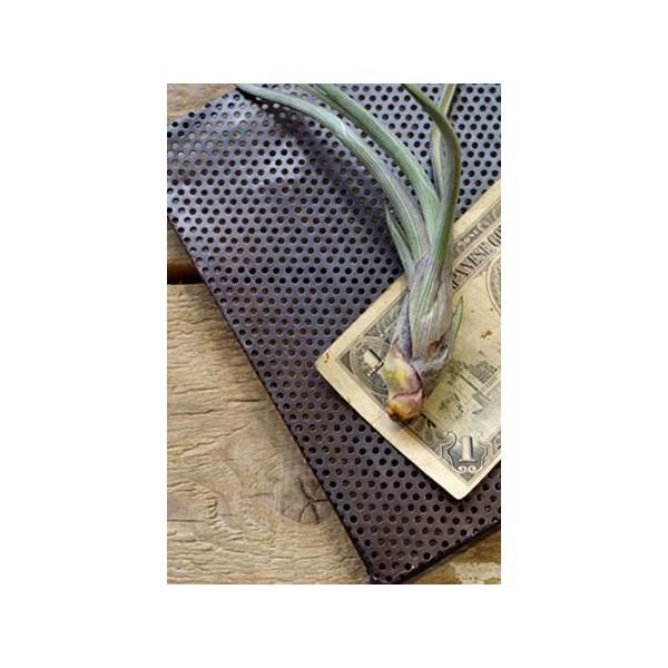 ԑ  ACA |bgX^h g AeB[N ACAR[X^[ XNGA