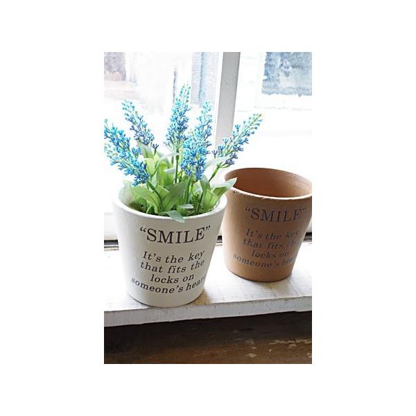 Aؔ  |bg  K[fjO g AeB[N ZeX|bg X}C