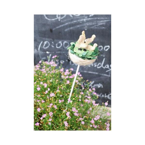 Aj} G CeA K[f IuWF g AeB[N Animal _bNXsbN