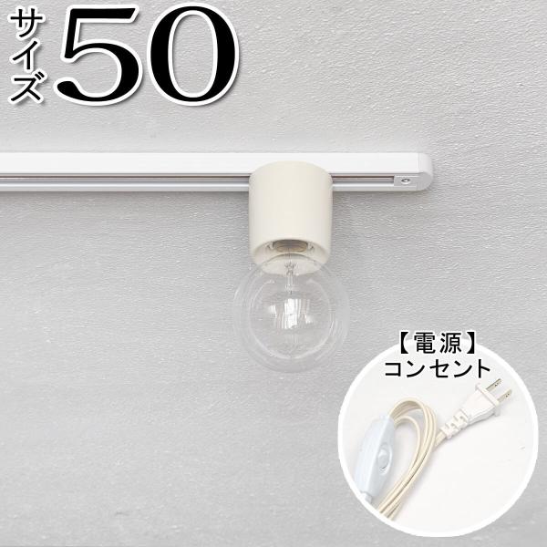 _Ng[ Ɩ z  RZg g AeB[N _Ng[50 RZg WH