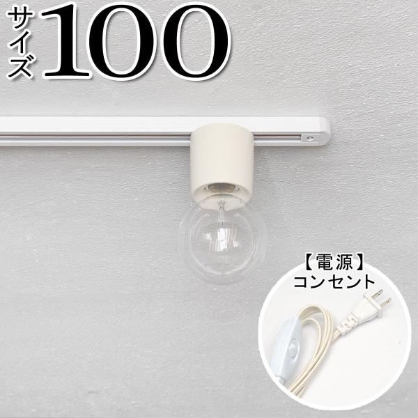 _Ng[ Ɩ z  RZg g AeB[N _Ng[100 RZg WH