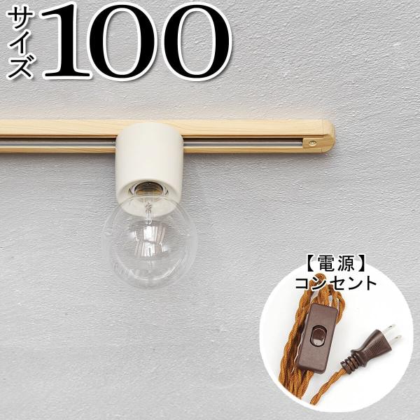 _Ng[ Ɩ z  RZg g AeB[N _Ng[100 RZg LBR