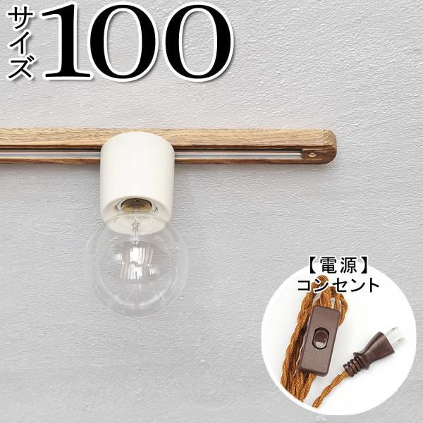 _Ng[ Ɩ z  RZg g AeB[N _Ng[100 RZg DBR