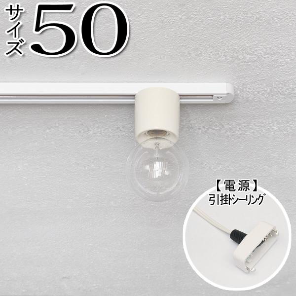 _Ng[ Ɩ z  g AeB[N _Ng[50 |V[O WH