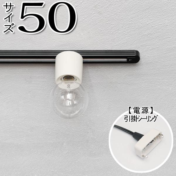 _Ng[ Ɩ z  g AeB[N _Ng[50 |V[O BK