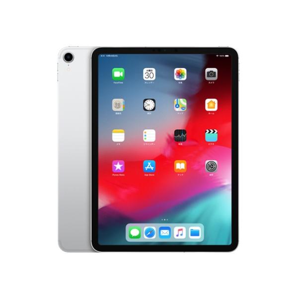 中古 Apple docomo SIMロック解除済み iPad Pro 11インチ 第1世代 64GB