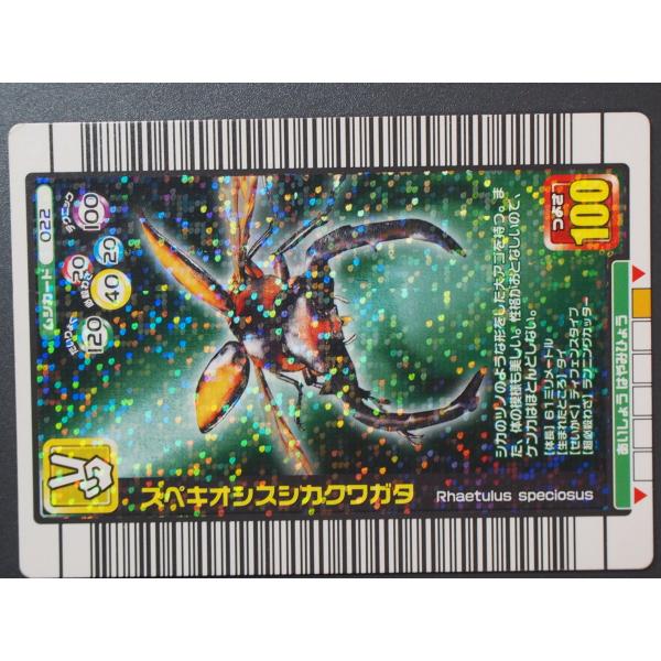 甲虫王者ムシキング 2005年夏限定デザインカード ムシカード