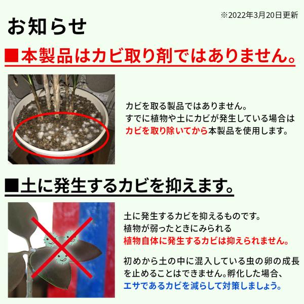 Keepstone キープストーン 400g 防カビ化粧石 防カビ 観葉植物のカビを防止する防カビ剤を浸透させた大理石の化粧石 化粧砂利 虫予防 カビ予防 B S400 B S400 純閃堂yahoo 店 通販 Yahoo ショッピング