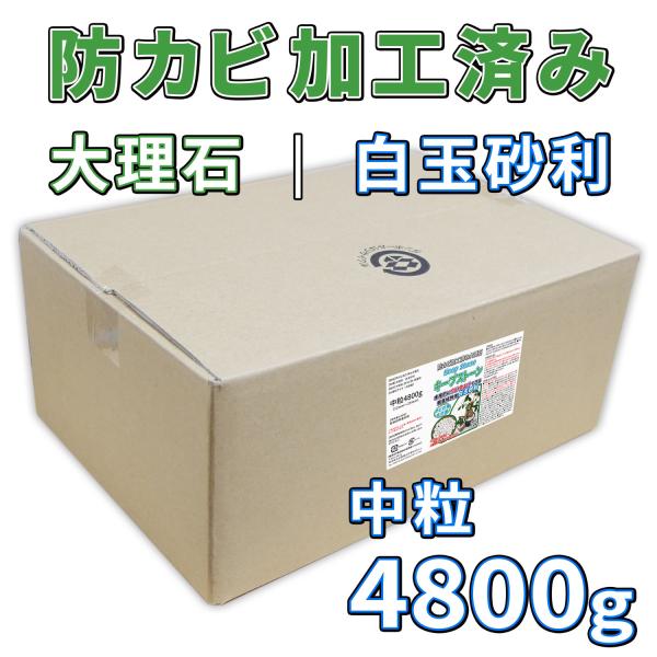 観葉植物 防虫の人気商品 通販 価格比較 価格 Com
