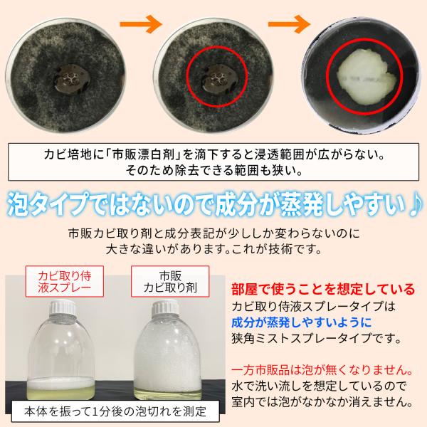 木材 畳 床 布団など変色しやすい箇所のカビ掃除に使える ギガランキングｊｐ