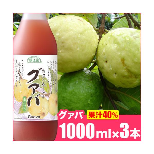 【国内線JALファーストクラス採用商品】 順造選 グァバ 1000ml×3本 果汁40％ グァバジュース グアバジュース マルカイ
