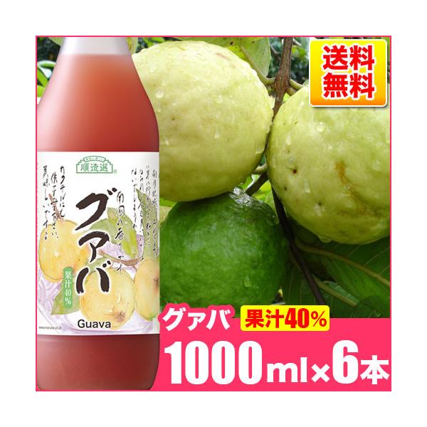 【国内線JALファーストクラス採用商品】 順造選 グァバ 1000ml×6本 果汁40％ グァバジュース グアバジュース マルカイ