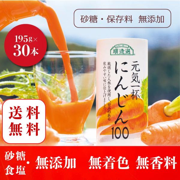 にんじんジュース 元気一杯 にんじん 195ml×30本 【世界2大産地 太陽の甘み】砂糖 塩 無添加 肥沃な環境で育った人参 ニュージーランド＆US産 公式 順造選