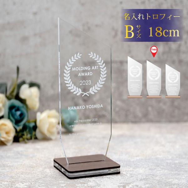 名入れトロフィー中サイズ(B)の魅力と選び方