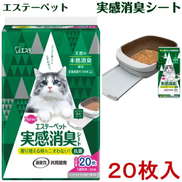 GXe[ybg@LV[g@LpVXegC@20iL/V[g/VXe/GXe-/Lj