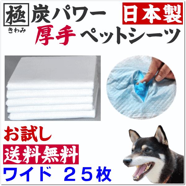   Ɂi݁jYp[ ybgV[c Ch 25 @iY/L//M[//ybgV[g/Y/ gCj