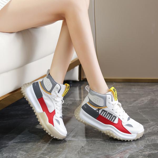 Xj[J[ EH[LOV[Y fB[X V[Y C  V[Y y C r Ȃ nCJbg JWA Ȃ