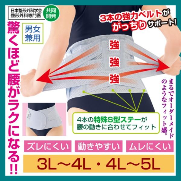 Ƀxg ɃT|[^[  xg T|[^[  L { ҂̂RZbg 3L`5L