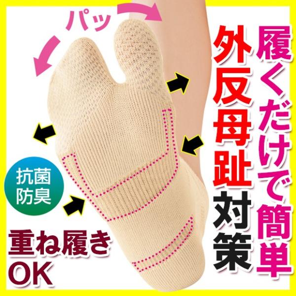 C ܃\bNX fB[X  ^r tbgPA O T|[^[ wlp łOT|[g\bNXi[։j