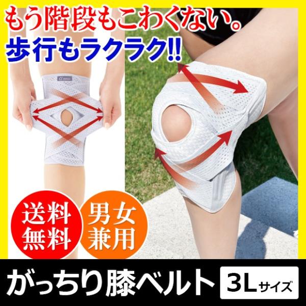 ҂̂Gxg 3L@@GT|[^[ Ђ xg veN^[ Œ s EH[LO G N bV jp 