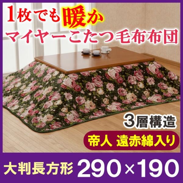 zc 唻`  | ѕz ԕ 1łg}C[ѕzzc 290×190cmi[J[j