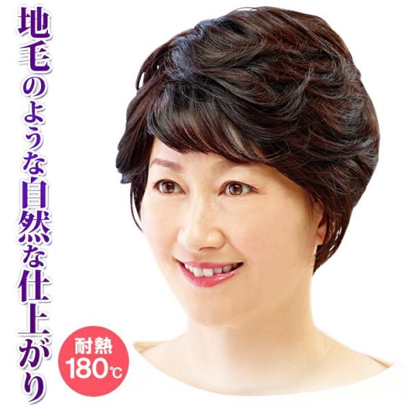 EBbO V[g   ϔM V[gwA[ wlp @ o  wAPA EBbOV[g^Cv