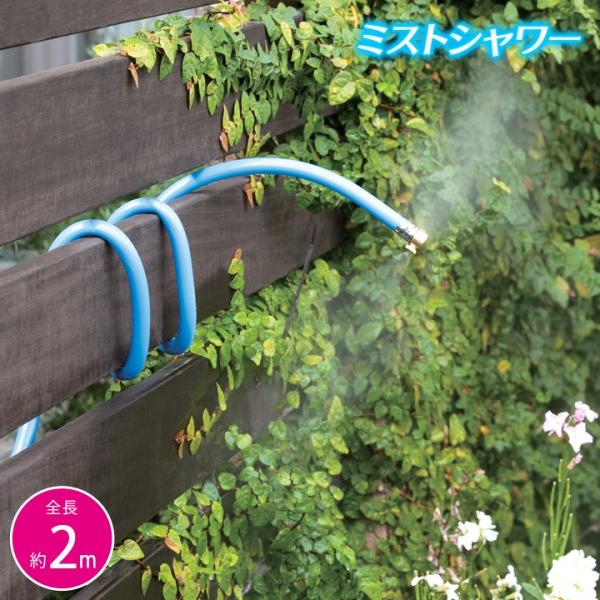 itLVuj~XgV[ O x_   Upi MǑ΍  Ђ t ^ ~XgdeN[V[ tLVu