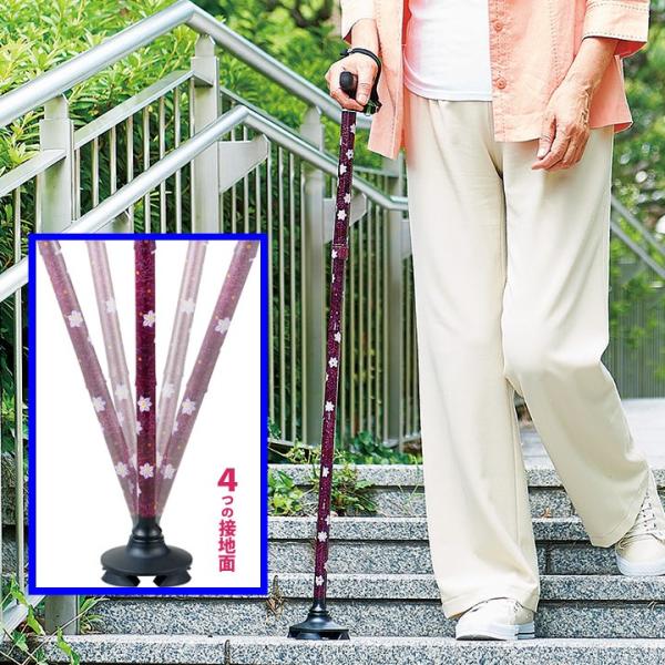  XebL wlp amp sT|[g ł ֗ 芴 ₷ pi  y RpNg SGKi ₷4|CgXebL