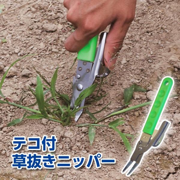  G jbp[ eRt yX  ȒP m s|Cg ͂ Ƃʂ | K[fjO ̂ { Y eRtjbp[