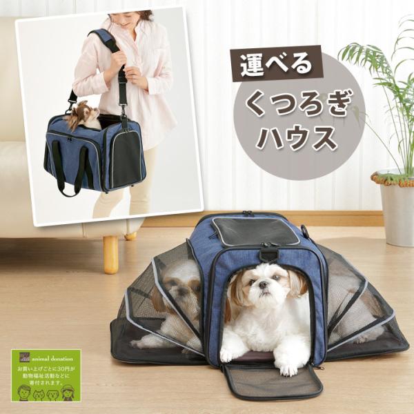  L ybg L[ łL[ {XgL[ V_[ P[W nEX  hCu A ЊQ RЊQ  ^ׂ邭났nEX