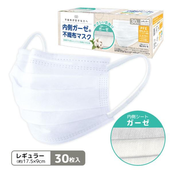 qpi v[c}XN \h  ECX ԕ ق PM2.5 nEX_Xg 3w\ tB^[ ʃTCY K[[̕sDz}XN30