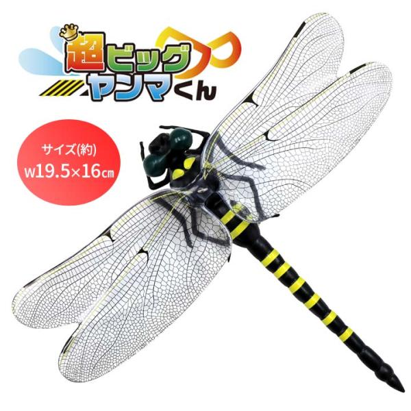justpartner_01618704