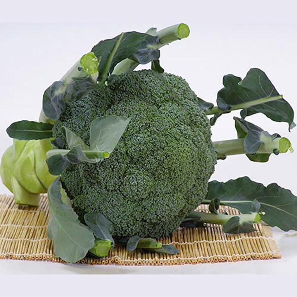 匿名発送】ブロッコリー種子（サミット）5000粒。春まきにいかが