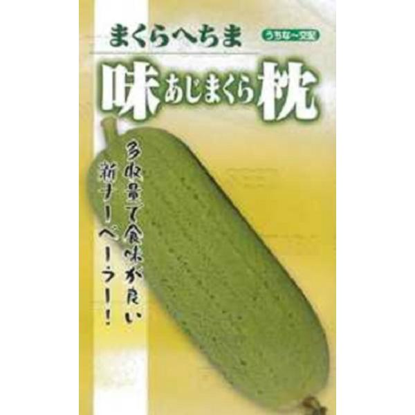 味枕 100粒 ヘチマ へちま 糸瓜【フタバ 種 たね タネ】【通常5倍 5のつく日はポイント10倍】