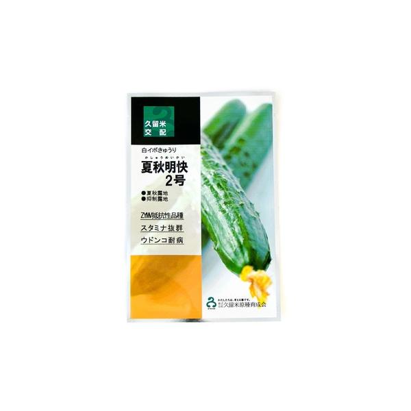 夏秋明快2号 100粒 胡瓜 キュウリ きゅうり【久留米原種育成会 種 たね