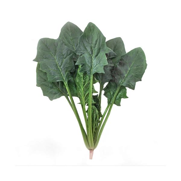 ブラッシュアップ19 M3万粒 ほうれん草 法蓮草 ホウレンソウ