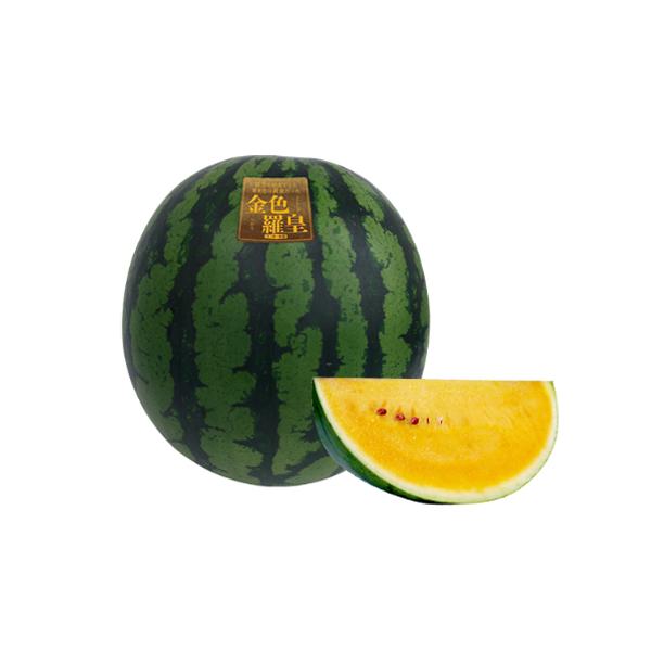 スイカ種 jvsds_nt0300