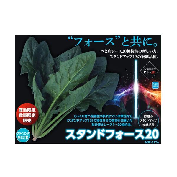 スタンドフォース20 プライマックスL2.5万粒 ほうれんそう 法蓮草 【ナント 種 たね タネ】【通常5倍 5のつく日はポイント10倍】