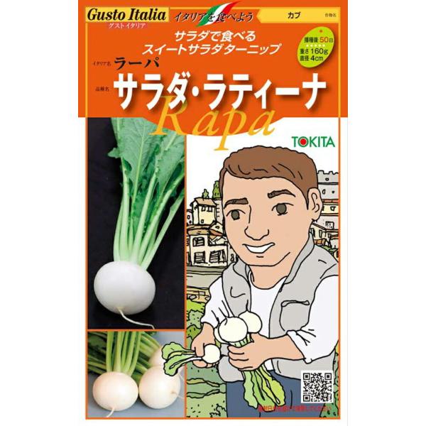 イタリアカブ サラダ・ラティーナ 3万粒(生種) グストイタリア【トキタ 種 たね タネ】【通常5倍 5のつく日はポイント10倍】