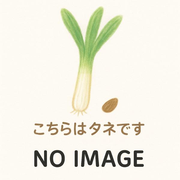 TSX-506こねぎ 1L 葱 ネギ ねぎ ダイヤ交配 【トキタ 種 たね タネ】【通常5倍 5のつく日はポイント10倍】