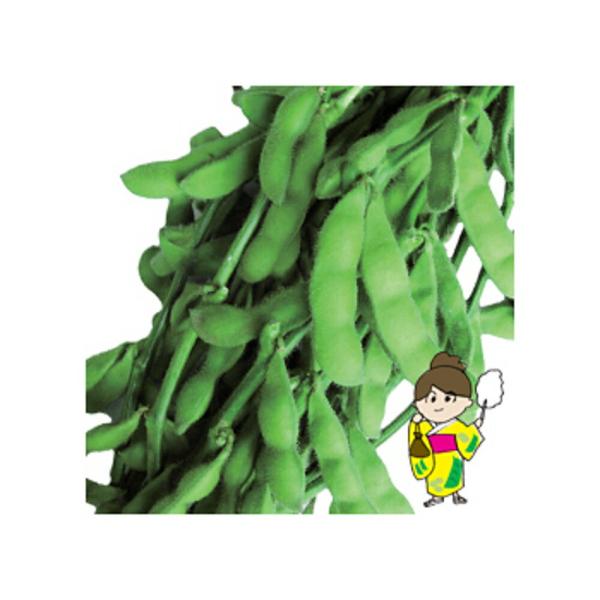 夏枝 1L 枝豆 えだまめ エダマメ【トキタ 種 たね タネ】【通常5倍 5の