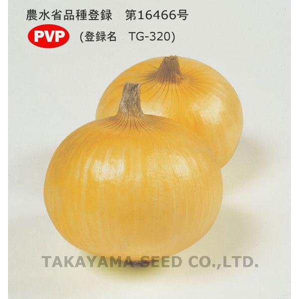 トップゴールド320 タマネギ 種子 タカヤマシード 2dl 1缶 トップゴールド320 タマネギ 種子 タカヤマシード 2dl 1缶 野菜の種